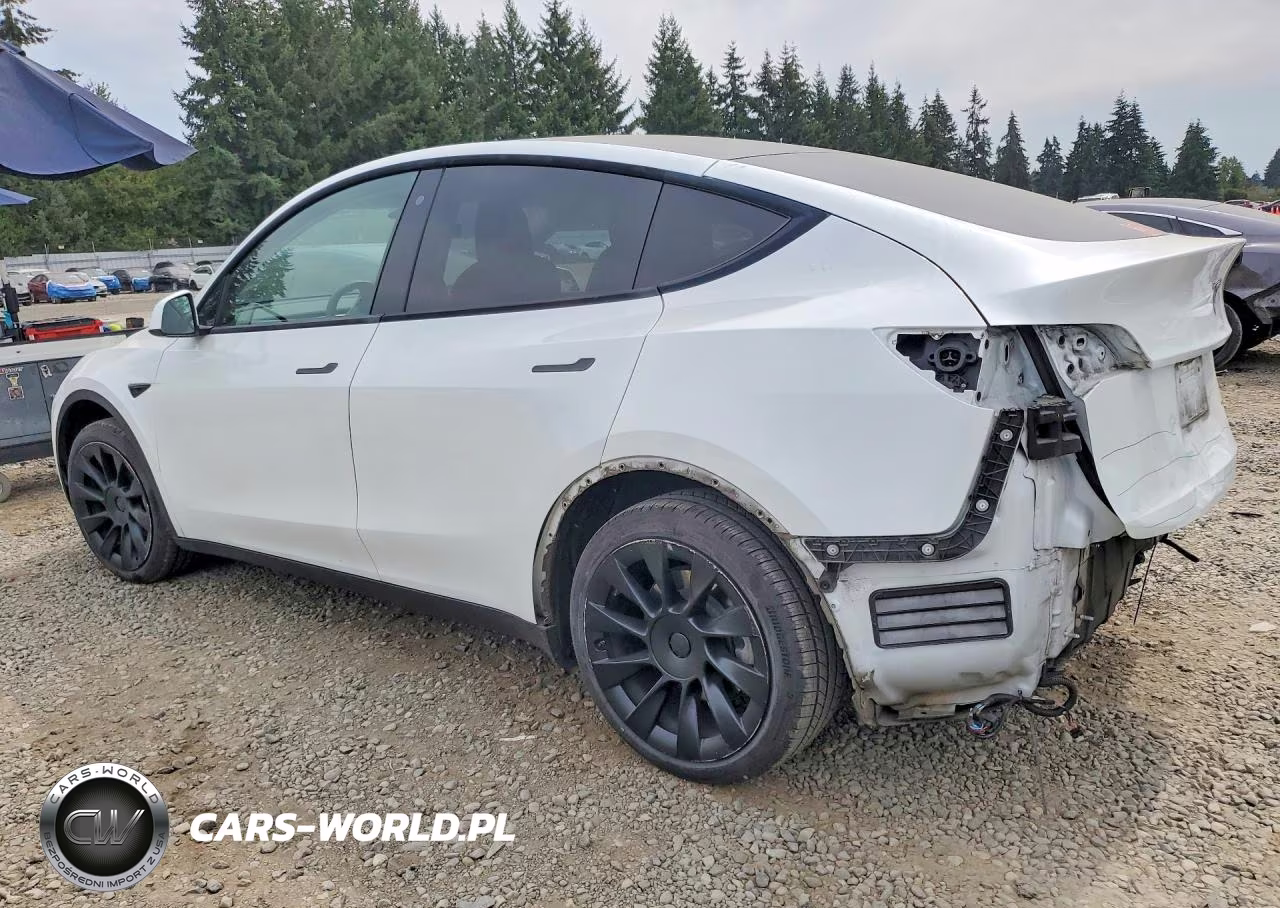 2020 Tesla Model Y VIN:5YJYGDEE8LF020237 - 2