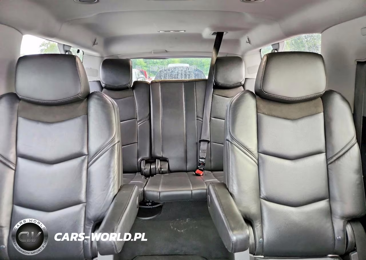 2019 Cadillac Escalade Esv Luxury VIN:1GYS4HKJ0KR242894 - 10