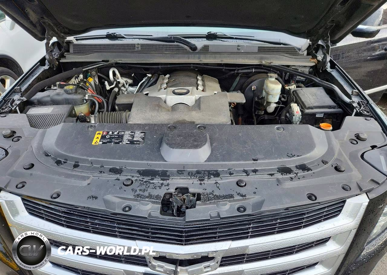 2019 Cadillac Escalade Esv Luxury VIN:1GYS4HKJ0KR242894 - 12