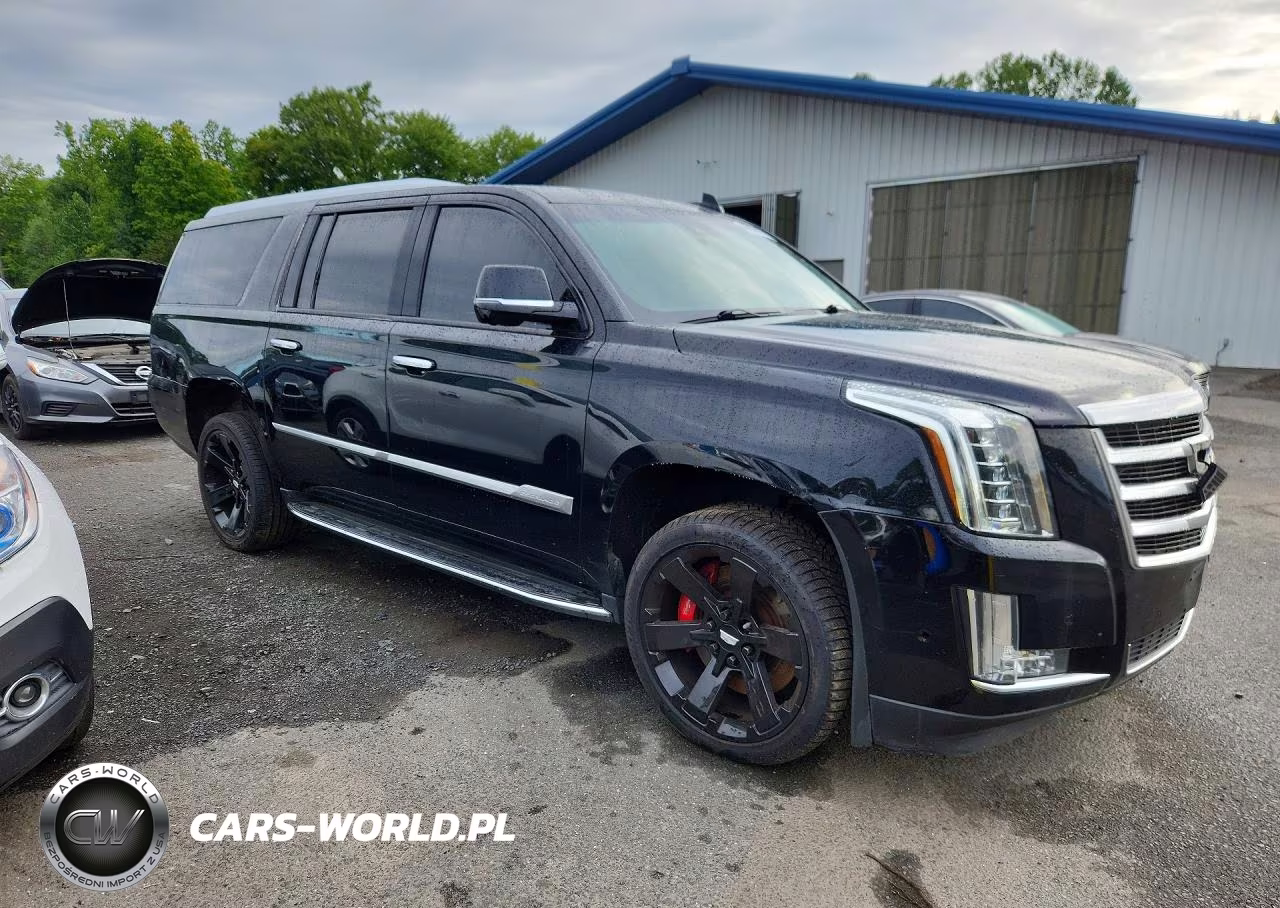 2019 Cadillac Escalade Esv Luxury VIN:1GYS4HKJ0KR242894 - 4