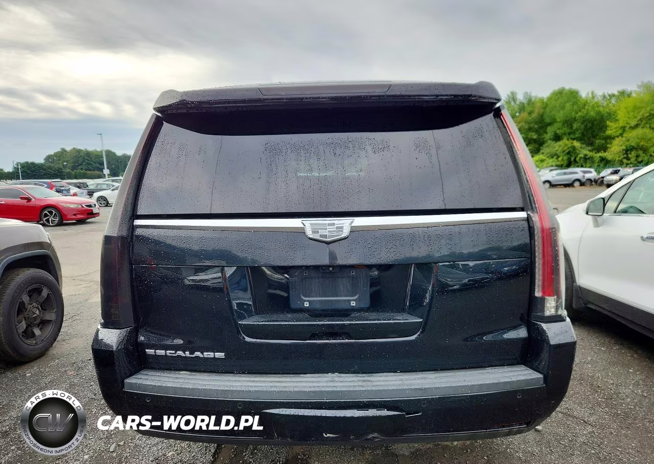 2019 Cadillac Escalade Esv Luxury VIN:1GYS4HKJ0KR242894 - 6