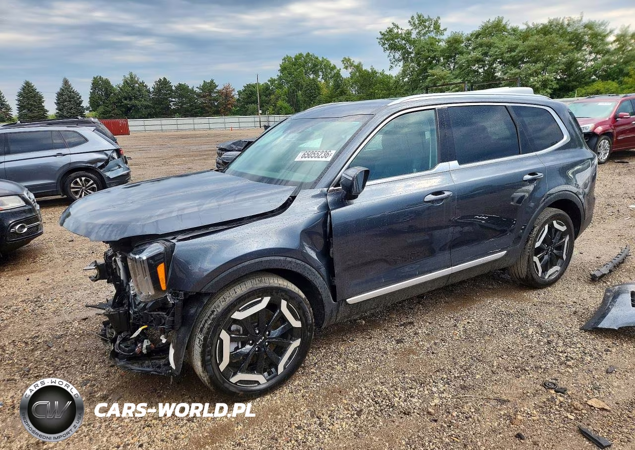 2024 Kia Telluride Ex VIN:5XYP3DGC1RG412240 - 1