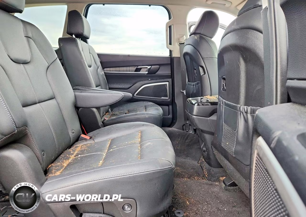 2024 Kia Telluride Ex VIN:5XYP3DGC1RG412240 - 10