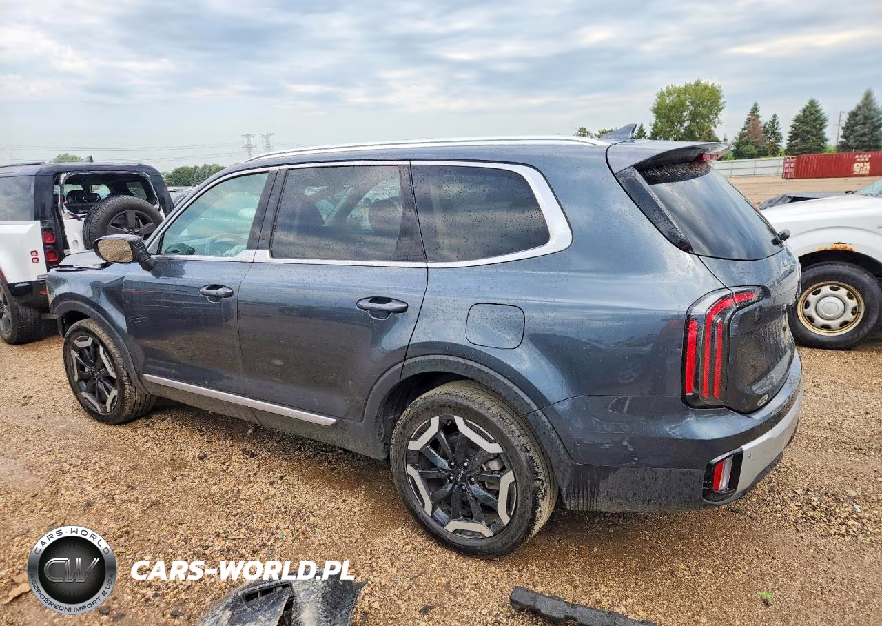 2024 Kia Telluride Ex VIN:5XYP3DGC1RG412240 - 2