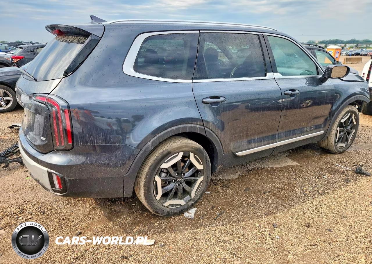 2024 Kia Telluride Ex VIN:5XYP3DGC1RG412240 - 3