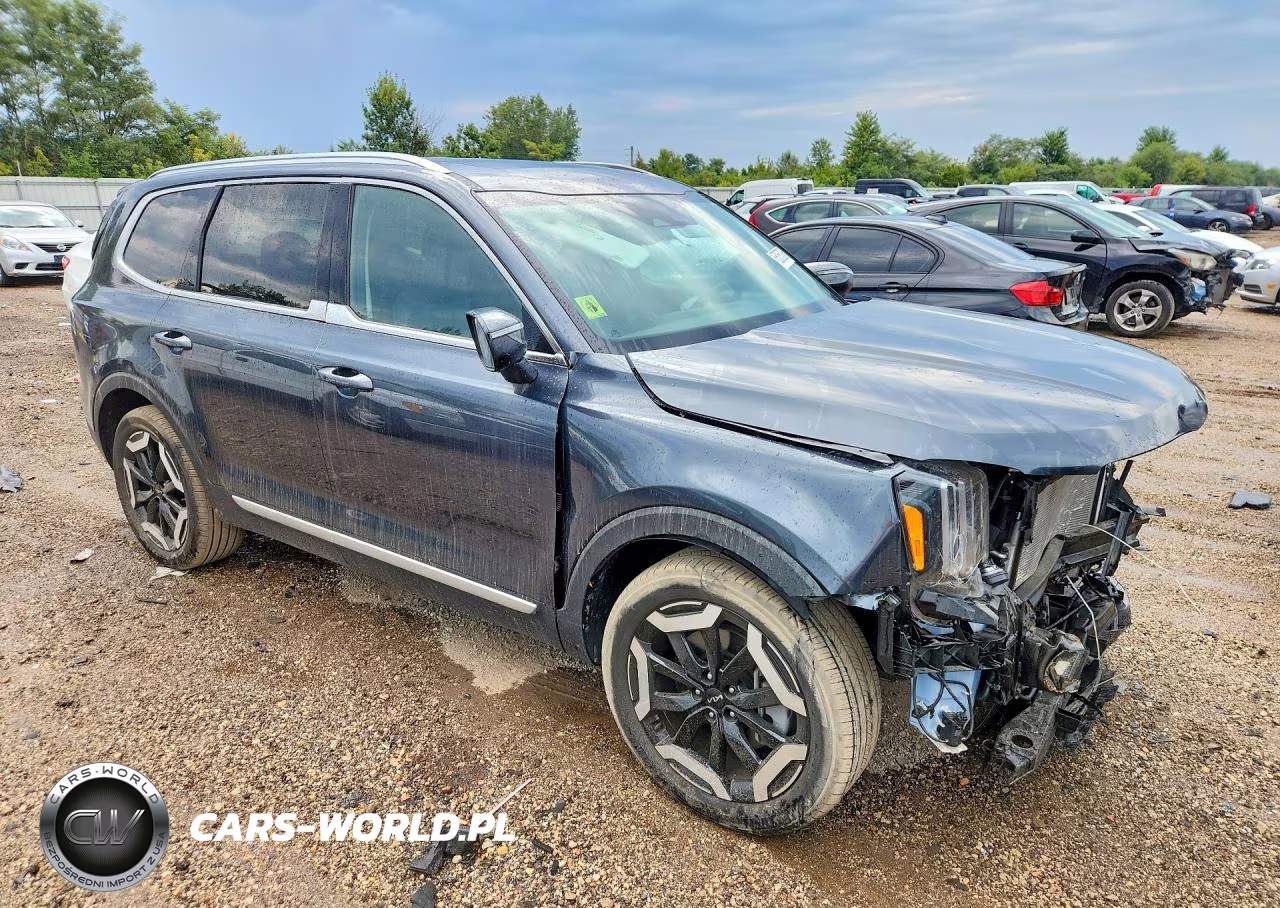 2024 Kia Telluride Ex VIN:5XYP3DGC1RG412240 - 4