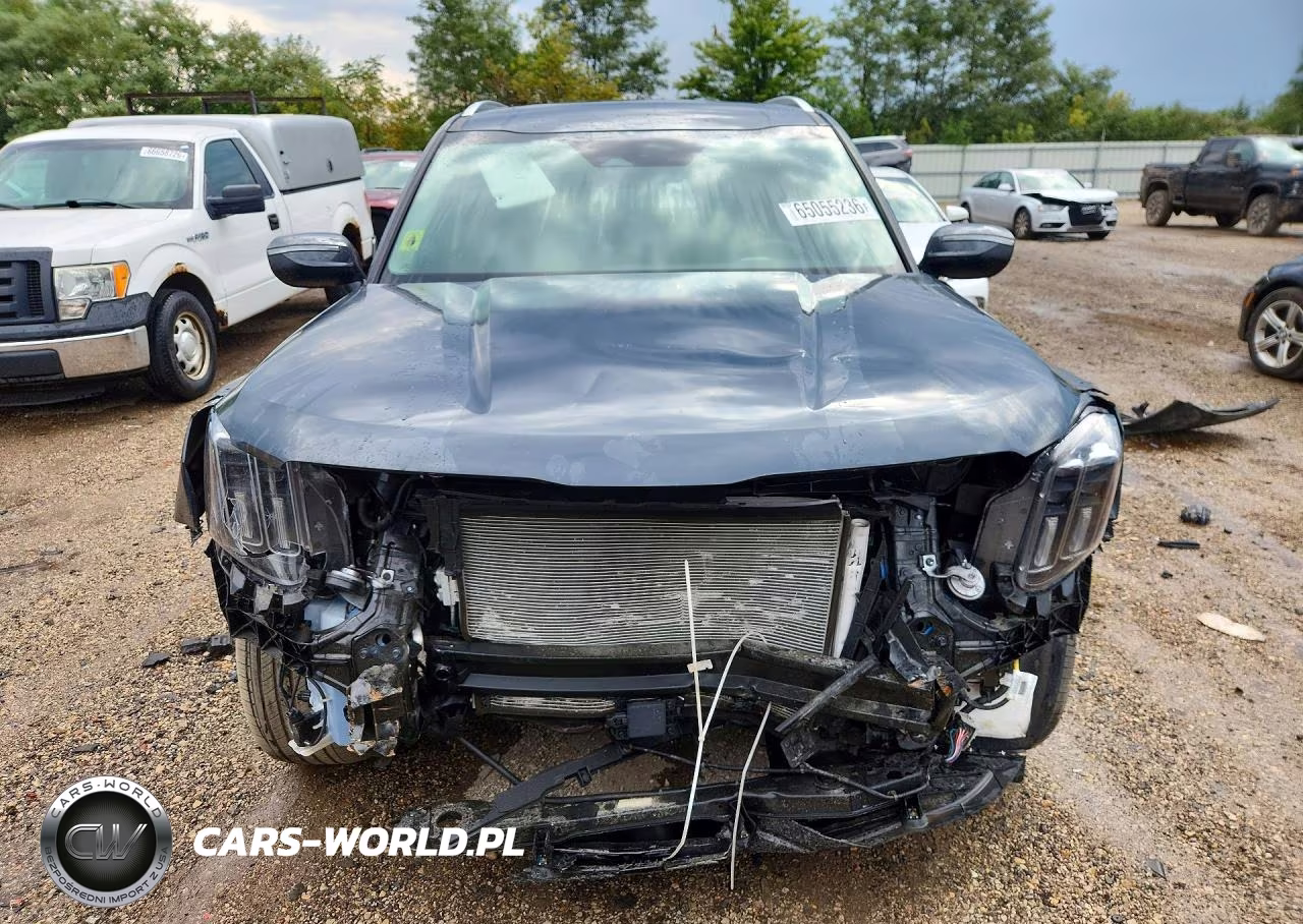2024 Kia Telluride Ex VIN:5XYP3DGC1RG412240 - 5