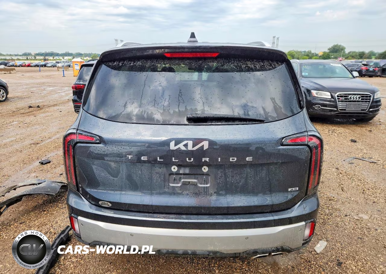 2024 Kia Telluride Ex VIN:5XYP3DGC1RG412240 - 6