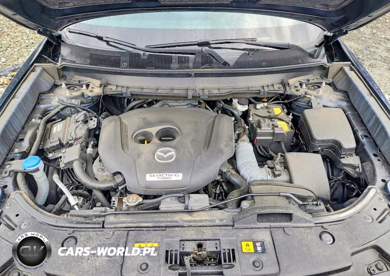 2022 Mazda Cx-9 Sport VIN:JM3TCBBY7N0613573 - 12