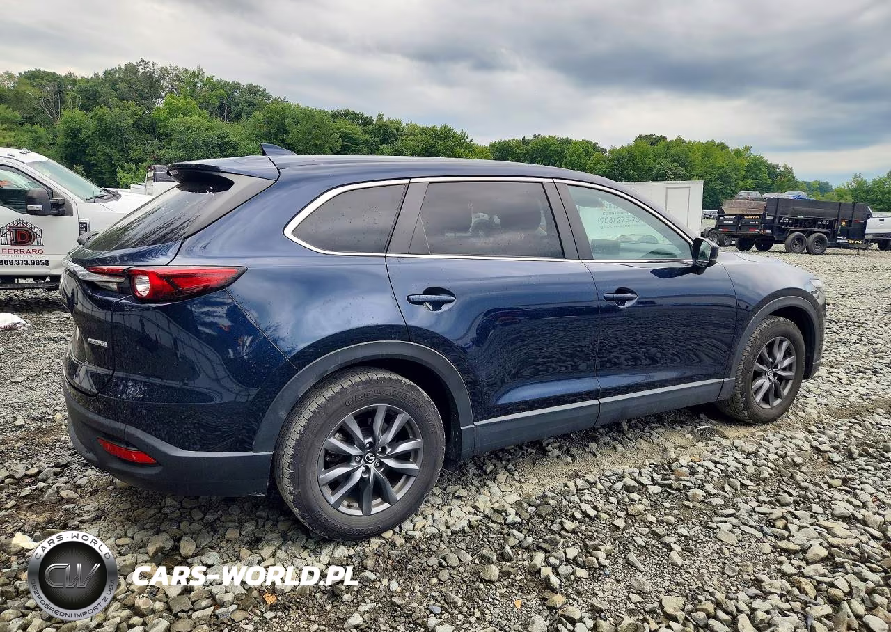 2022 Mazda Cx-9 Sport VIN:JM3TCBBY7N0613573 - 3