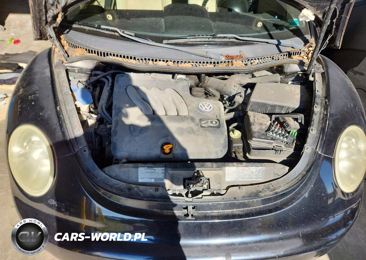 2002 Volkswagen New Beetle Gls VIN:3VWCK21C92M441103 - 11
