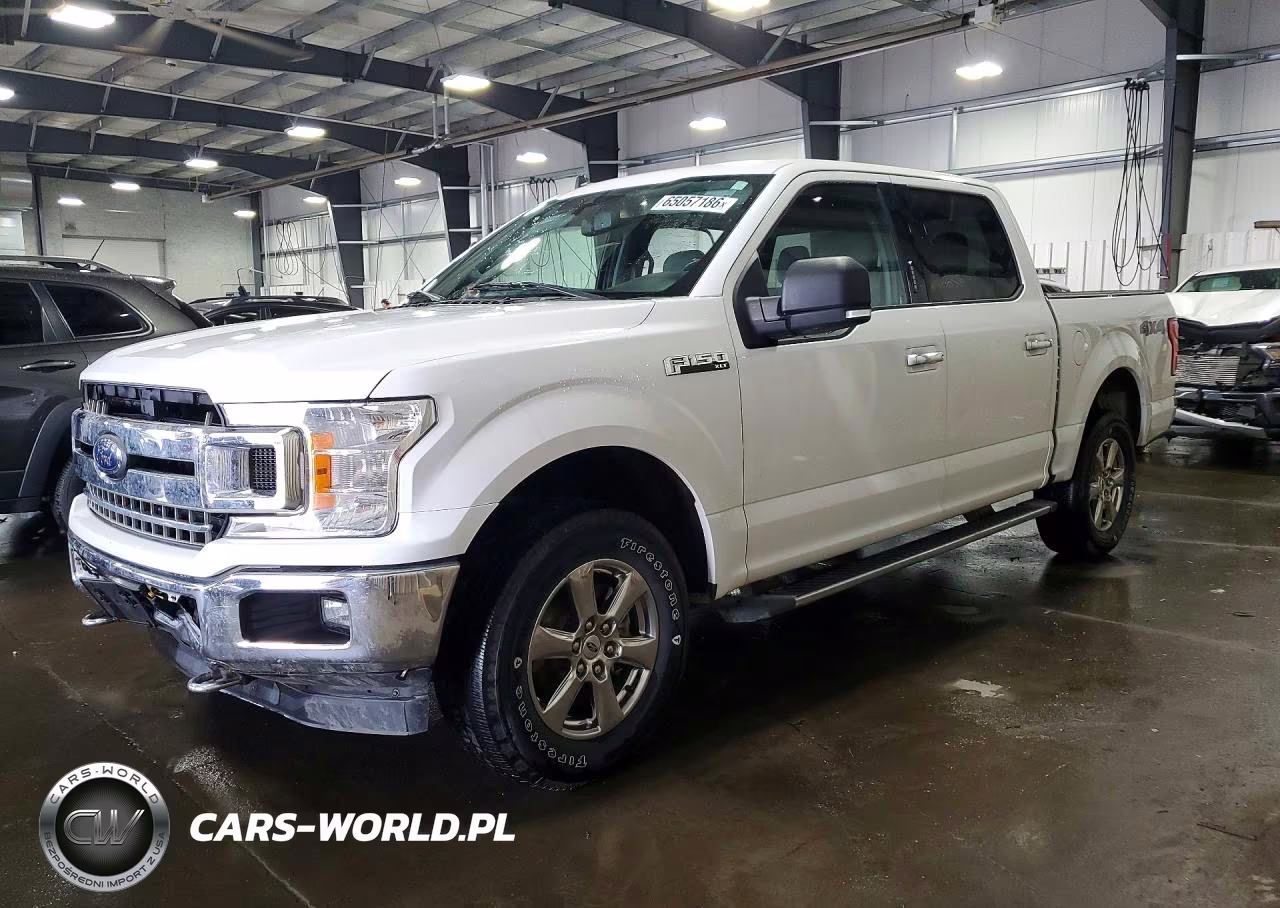 2019 Ford F150 Supercrew VIN:1FTEW1EP9KFD45933 - 1