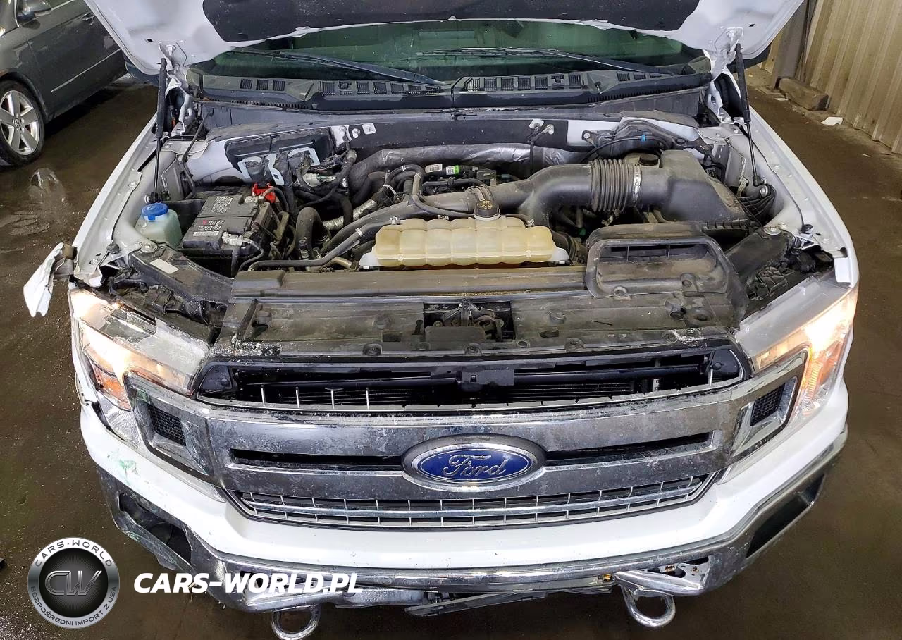 2019 Ford F150 Supercrew VIN:1FTEW1EP9KFD45933 - 11