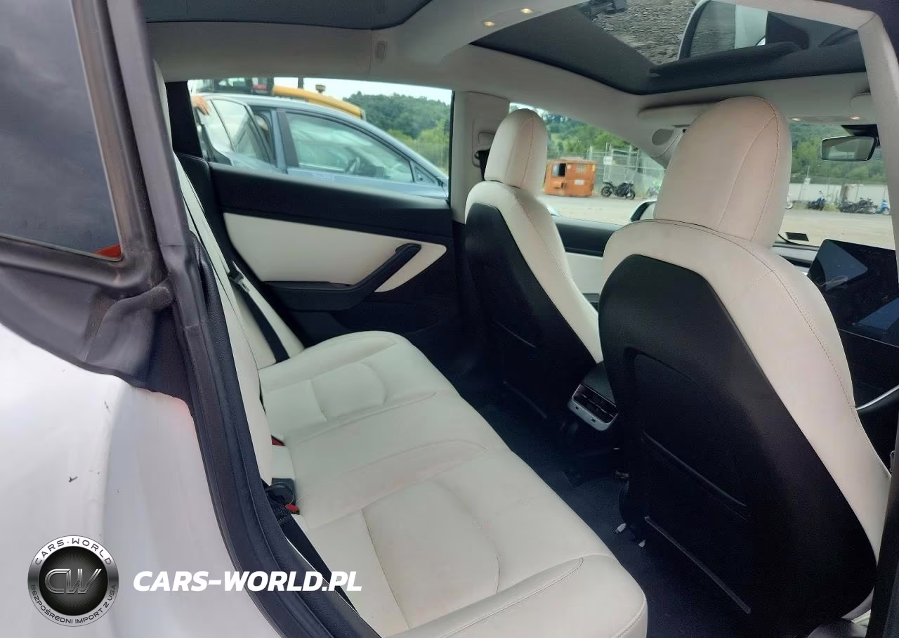 2020 Tesla Model 3 VIN:5YJ3E1EB4LF525454 - 10