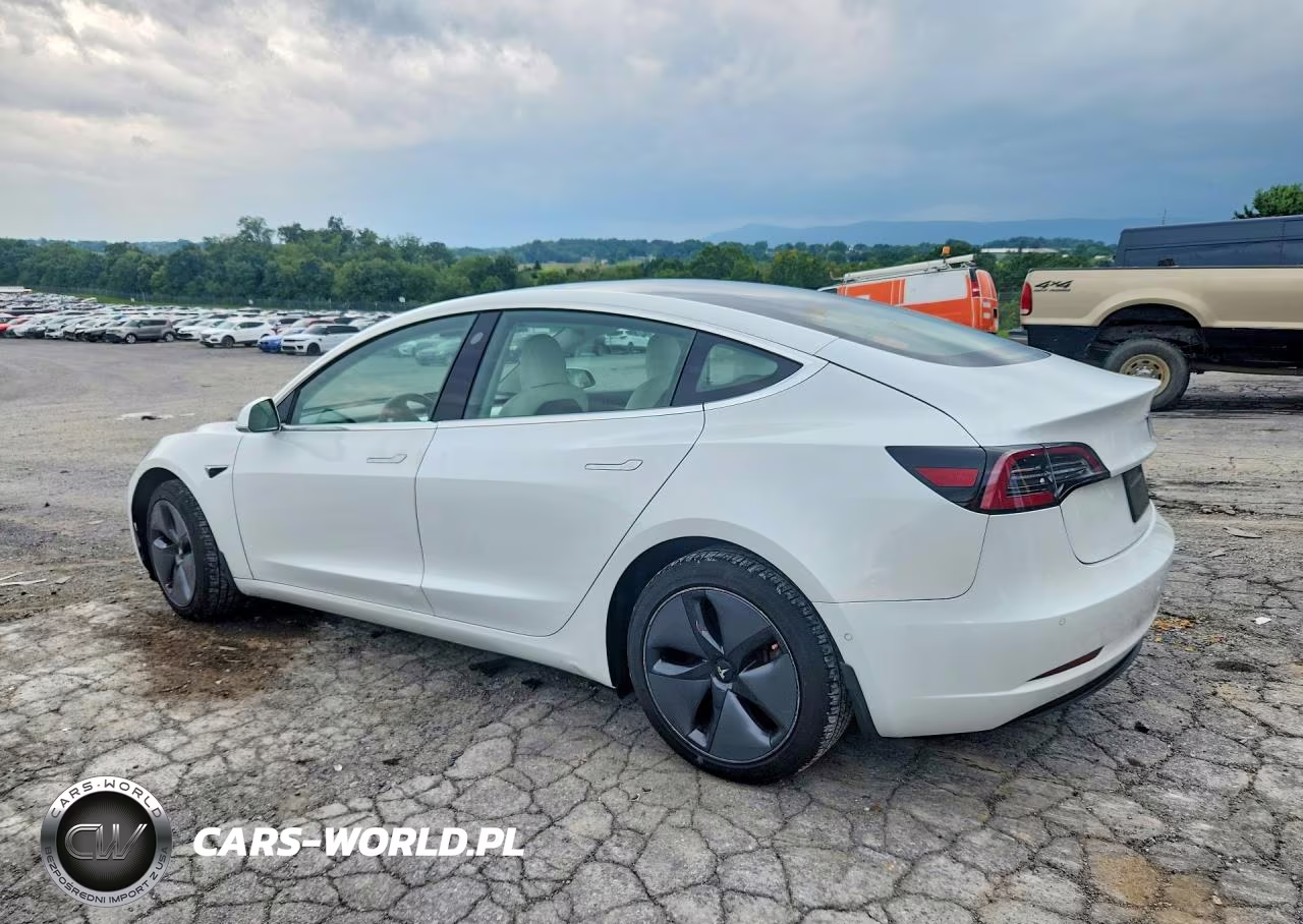 2020 Tesla Model 3 VIN:5YJ3E1EB4LF525454 - 2