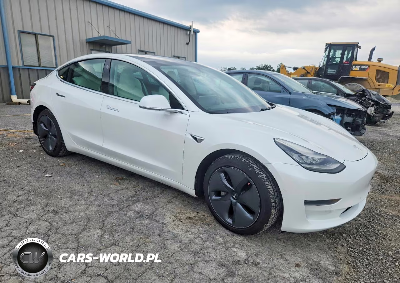 2020 Tesla Model 3 VIN:5YJ3E1EB4LF525454 - 4