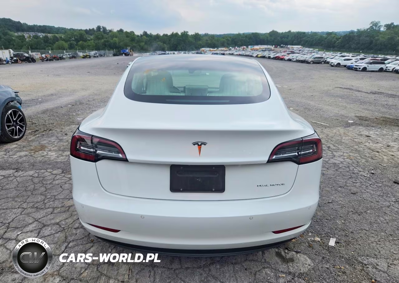 2020 Tesla Model 3 VIN:5YJ3E1EB4LF525454 - 6