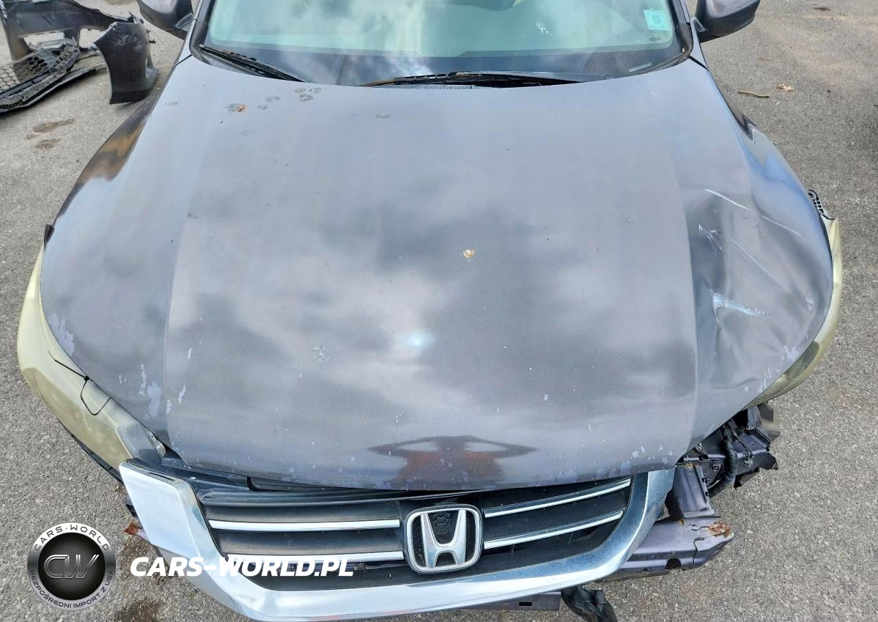 2014 Honda Accord Sport VIN:1HGCR2F5XEA185131 - 11