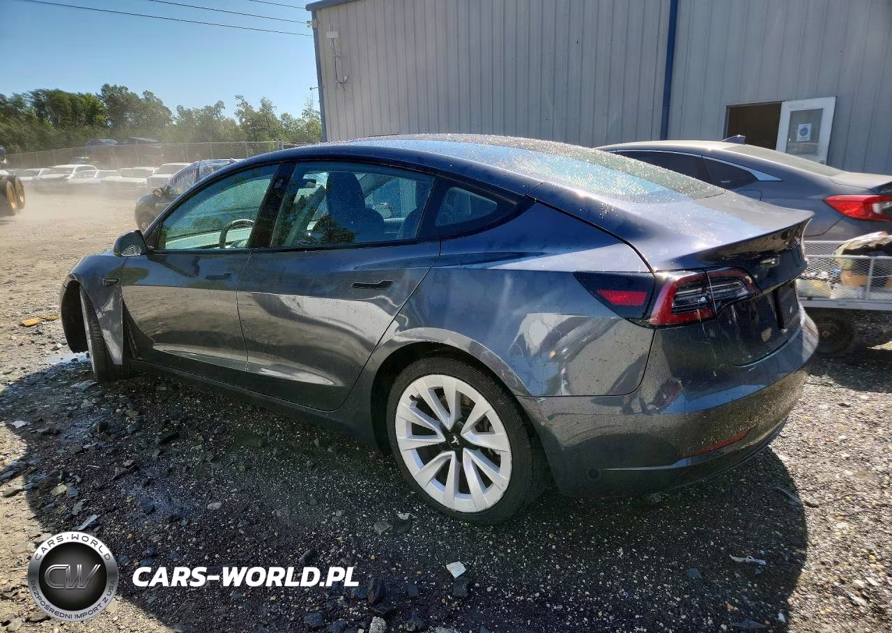 2022 Tesla Model 3 VIN:5YJ3E1EAXNF368555 - 2