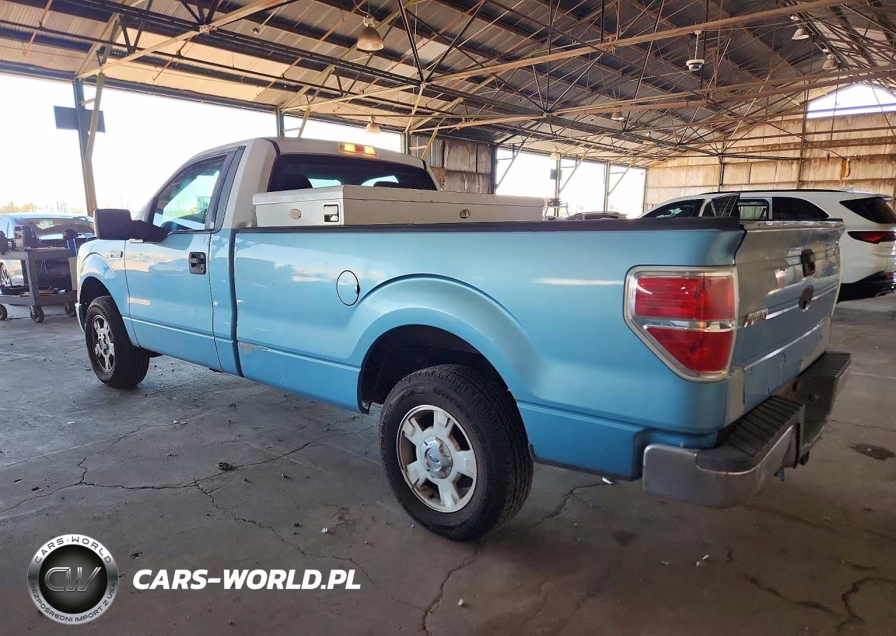2009 Ford F150 VIN:1FTRF12899KA71181 - 2