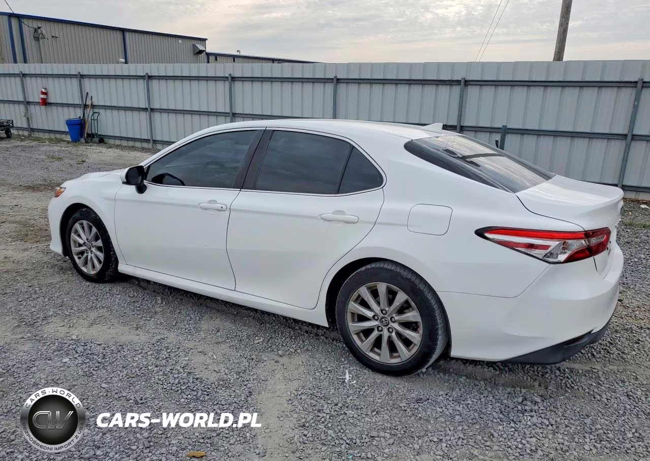 2020 Toyota Camry Le VIN:4T1C11AK2LU899954 - 2