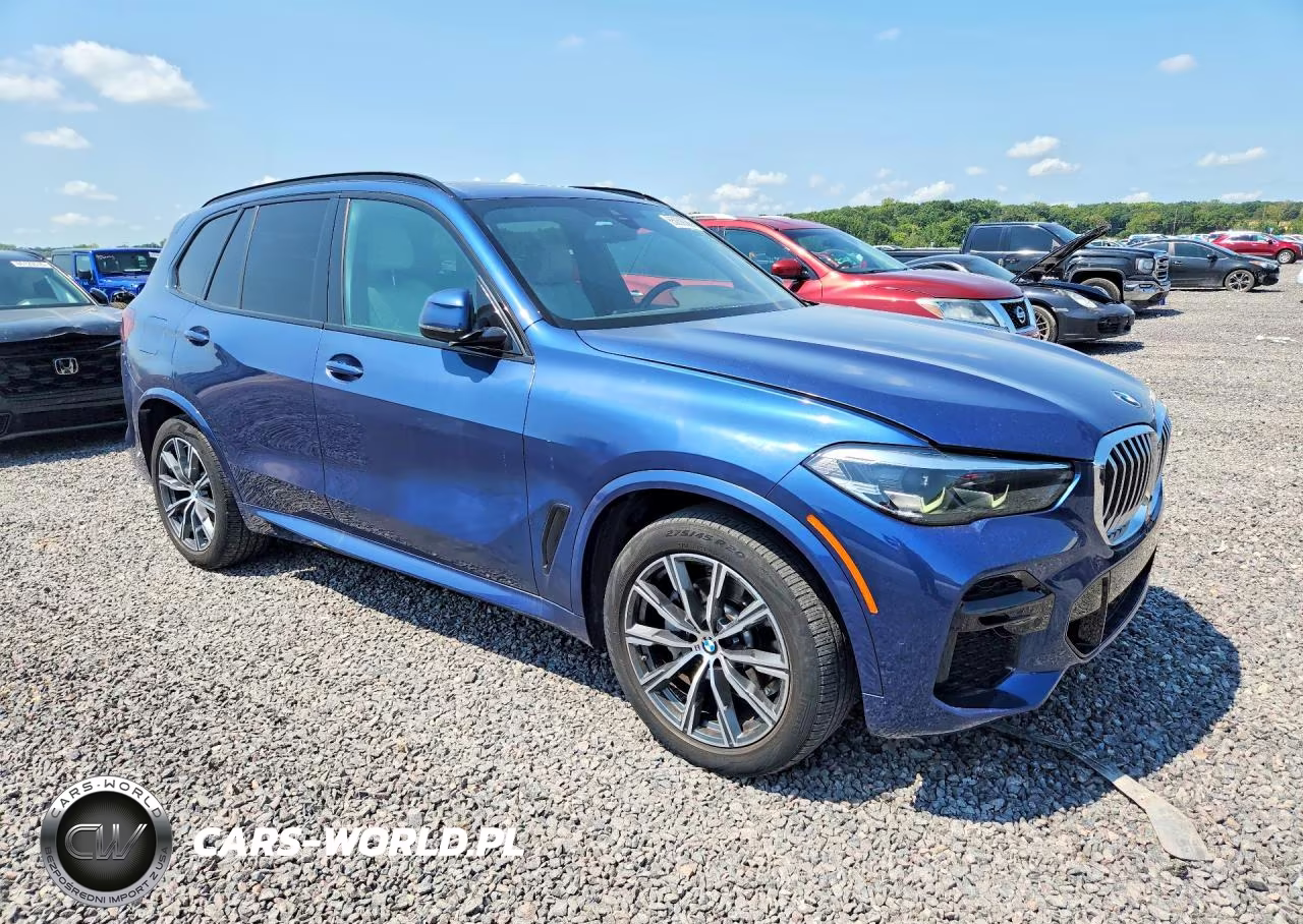 2023 BMW X5 xDrive40I VIN:5UXCR6C00P9P88039 - 4