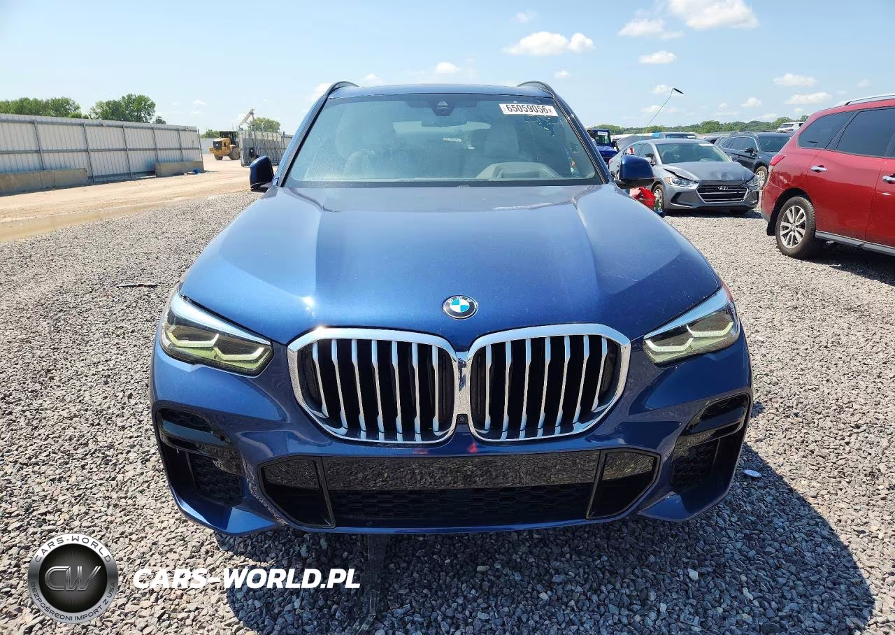 2023 BMW X5 xDrive40I VIN:5UXCR6C00P9P88039 - 5