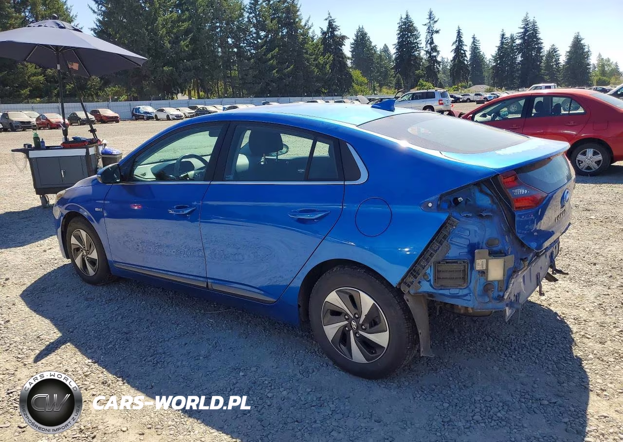 2017 Hyundai Ioniq Sel VIN:KMHC75LC0HU026464 - 2