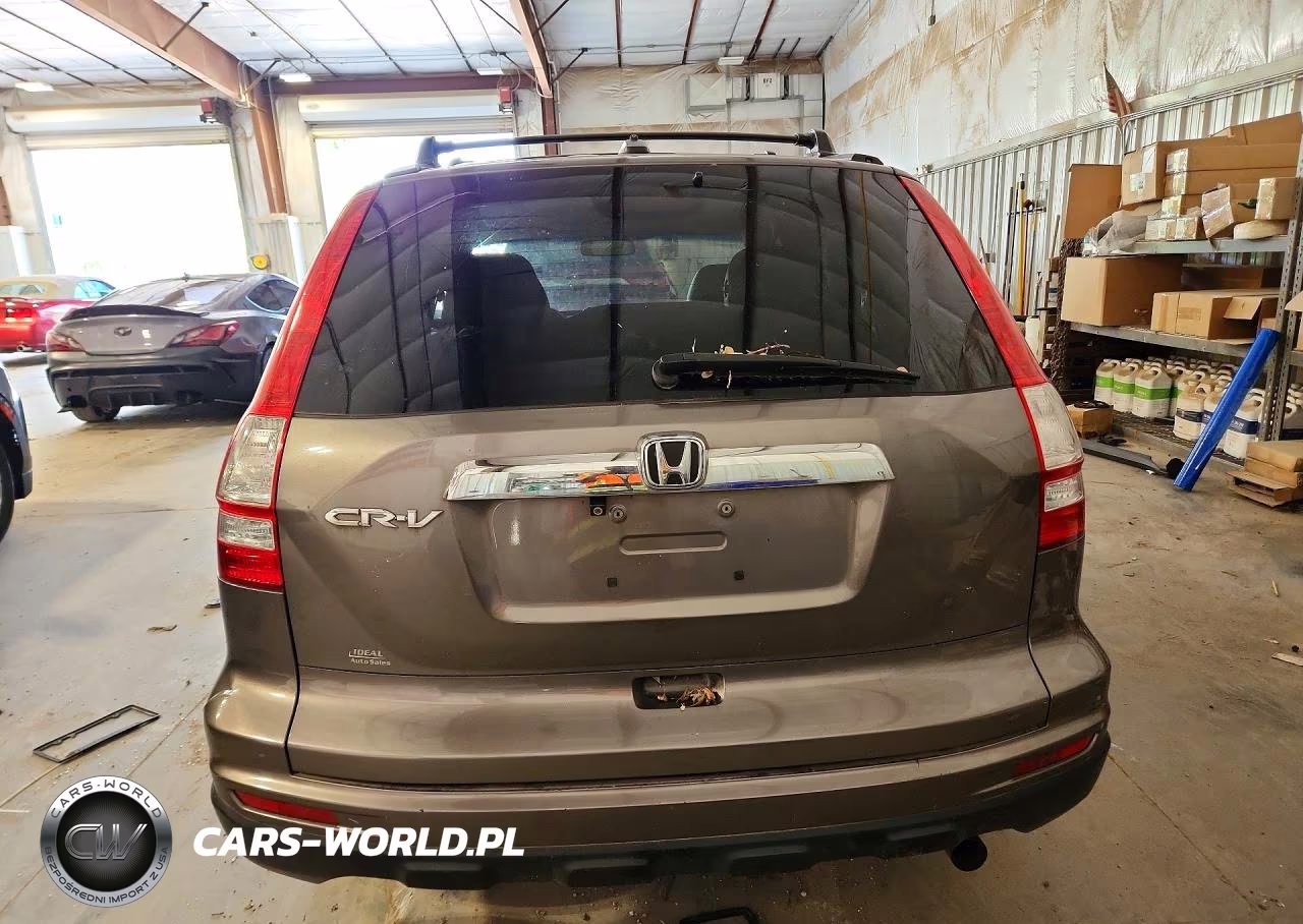 2010 Honda Cr-V Exl VIN:5J6RE3H70AL016401 - 6