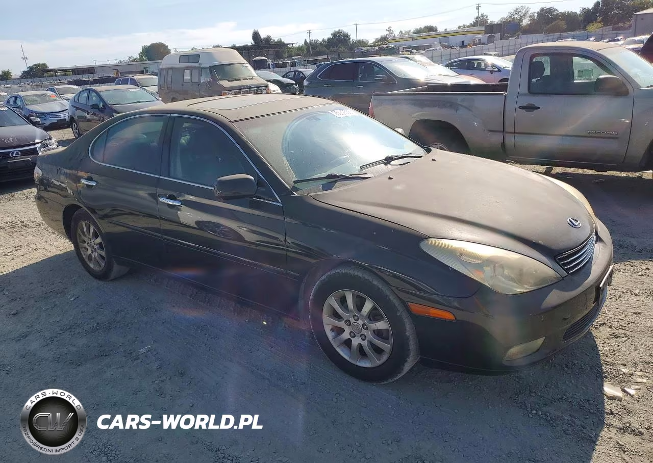 2003 Lexus Es 300 VIN:JTHBF30G236006601 - 4
