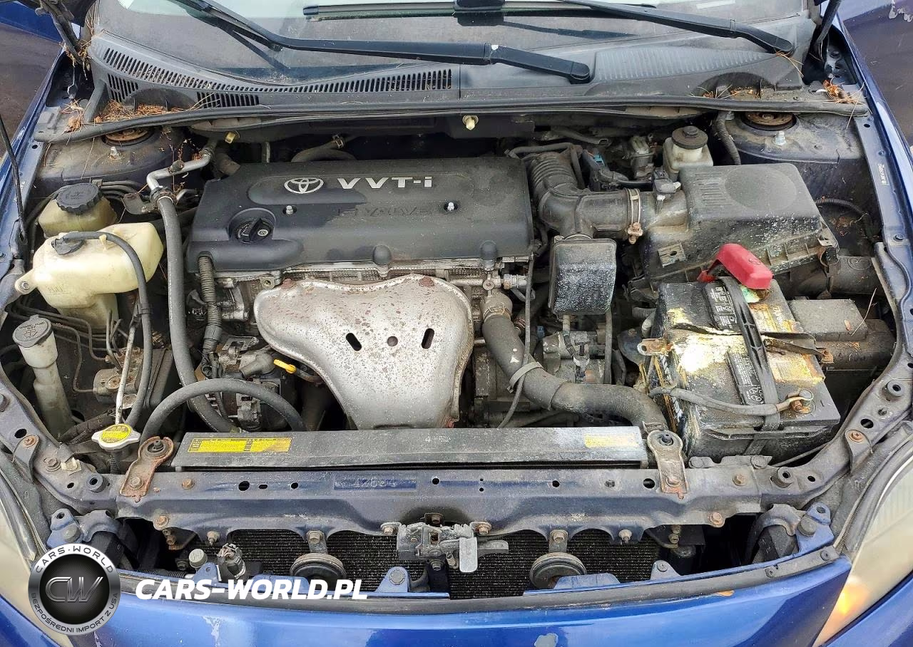 2009 Scion Tc Base VIN:JTKDE167090289822 - 11