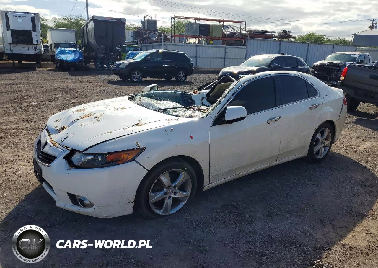 2010 Acura Tsx VIN:JH4CU2F61AC034441 - 1