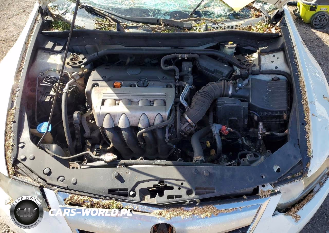 2010 Acura Tsx VIN:JH4CU2F61AC034441 - 11