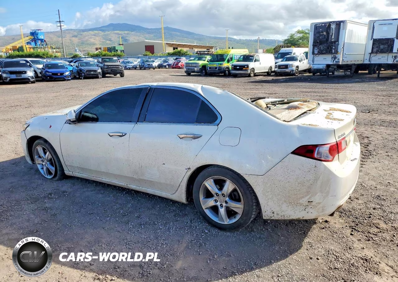 2010 Acura Tsx VIN:JH4CU2F61AC034441 - 2