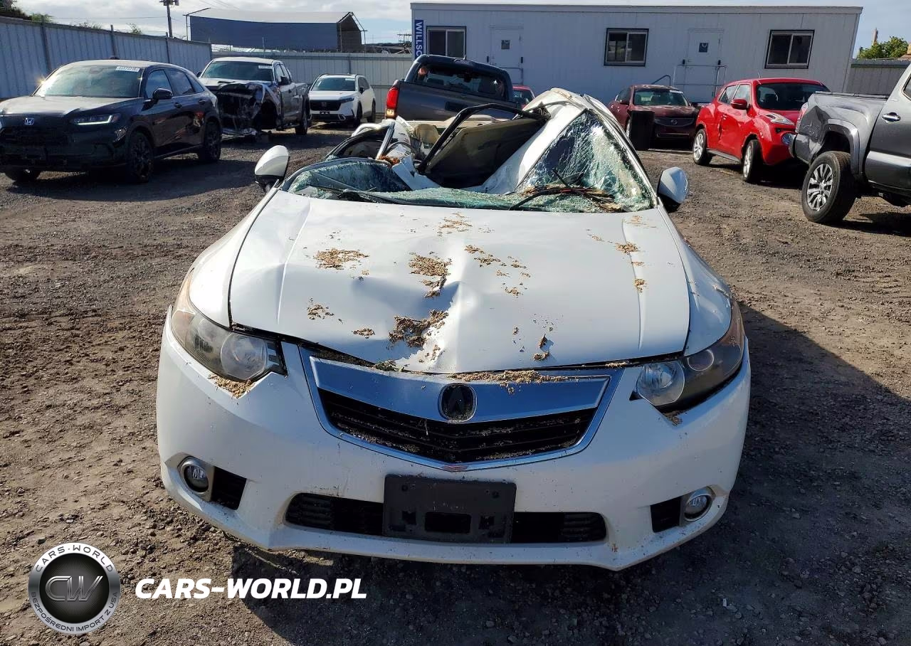 2010 Acura Tsx VIN:JH4CU2F61AC034441 - 5