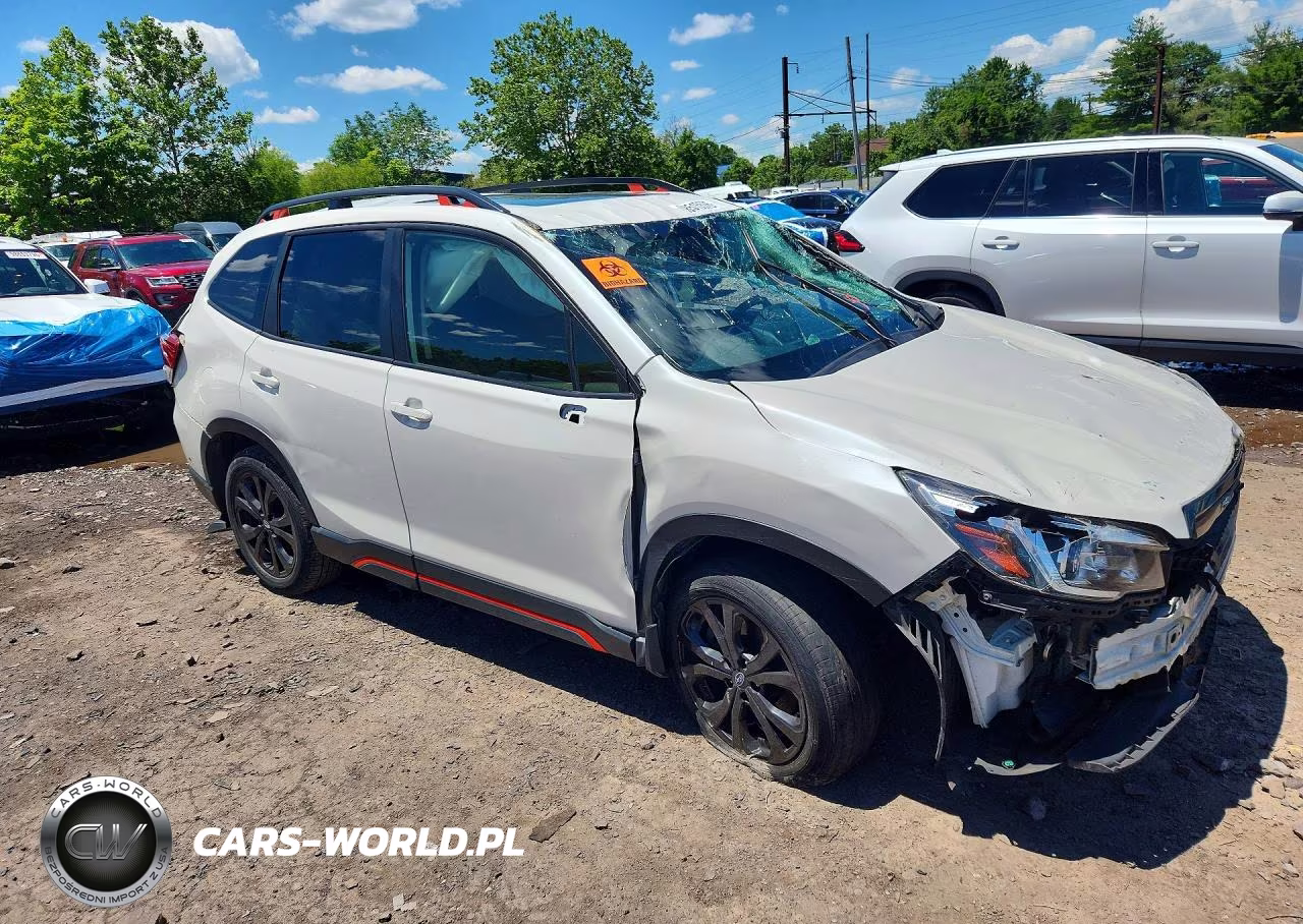 2019 Subaru Forester Sport VIN:JF2SKAKC1KH486274 - 4