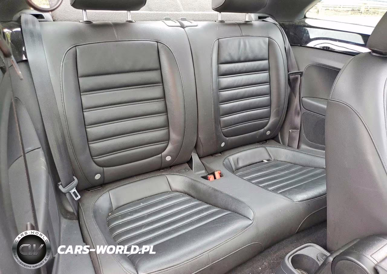 2013 Volkswagen Beetle Turbo VIN:3VWVT7AT4DM675817 - 10