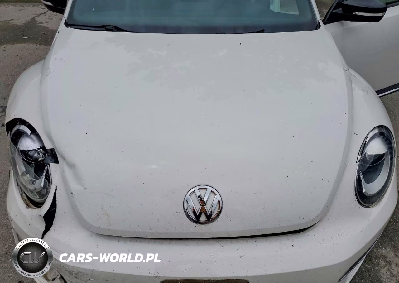 2013 Volkswagen Beetle Turbo VIN:3VWVT7AT4DM675817 - 11