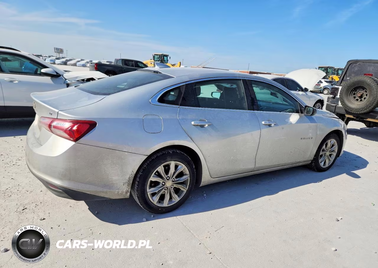 2019 Chevrolet Malibu Lt VIN:1G1ZD5ST6KF174034 - 3