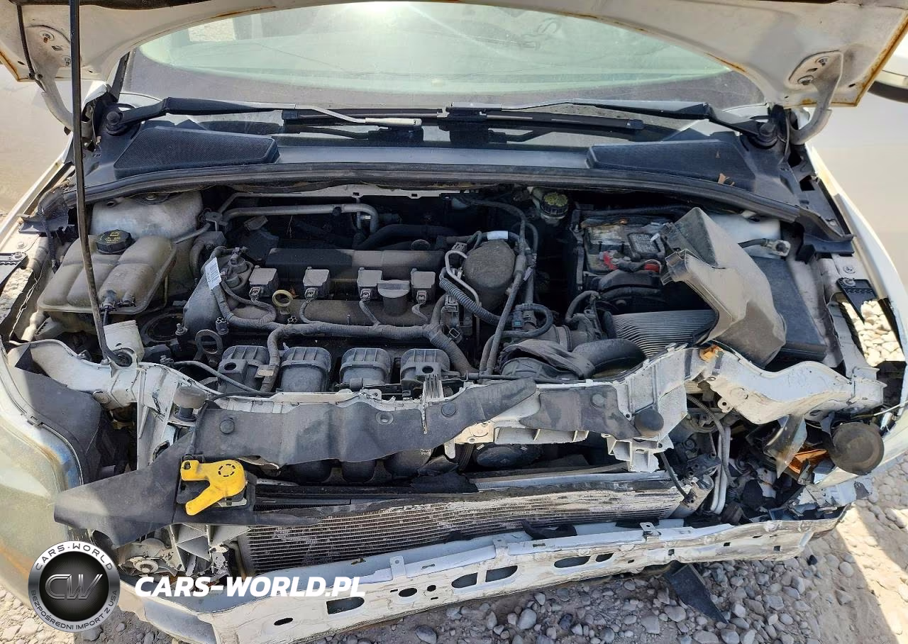 2013 Ford Focus Titanium VIN:1FADP3N23DL335191 - 11