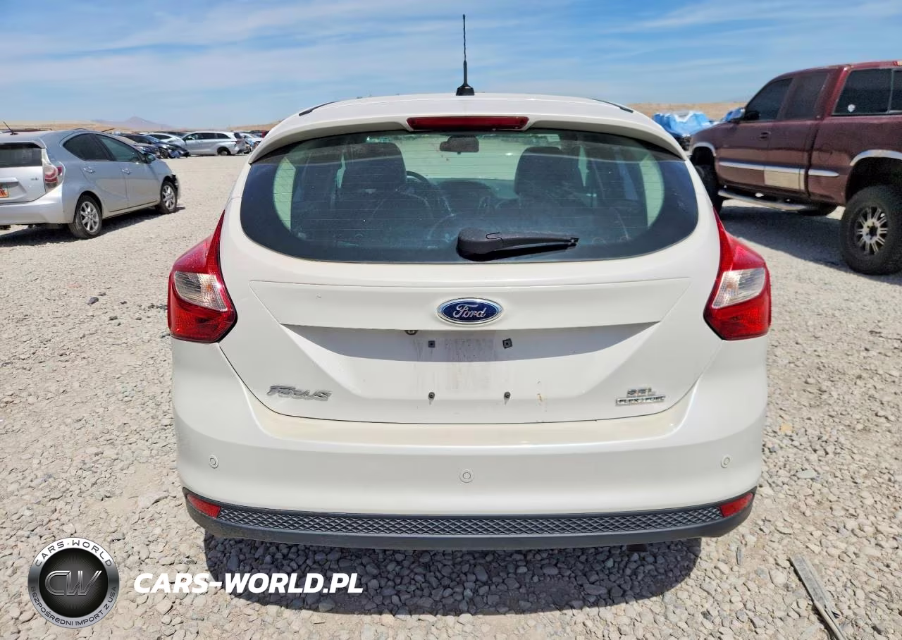 2013 Ford Focus Titanium VIN:1FADP3N23DL335191 - 6