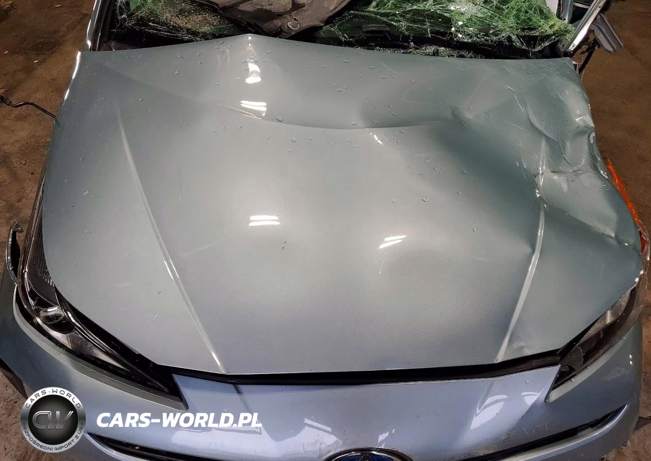 2019 Toyota Prius L Eco VIN:JTDKARFU9K3097608 - 11