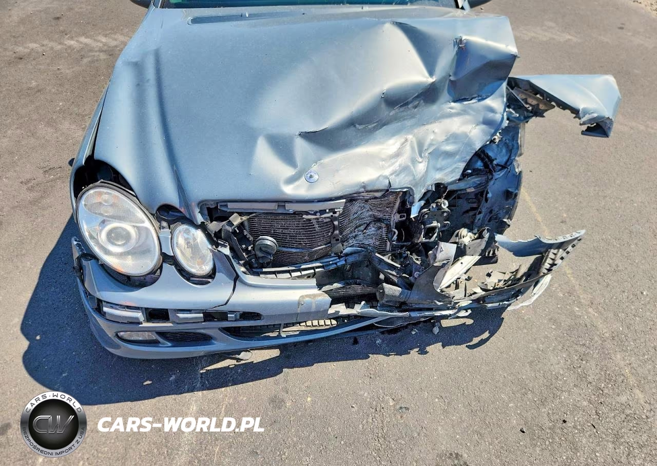 2006 Mercedes-Benz E 320 Cdi VIN:WDBUF26J66A893479 - 11