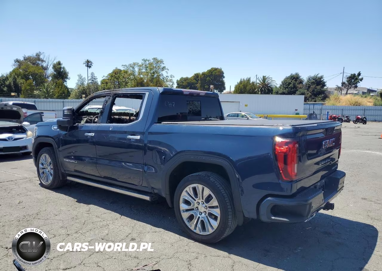 2020 GMC Sierra K1500 Denali VIN:1GTU9FET2LZ219703 - 2