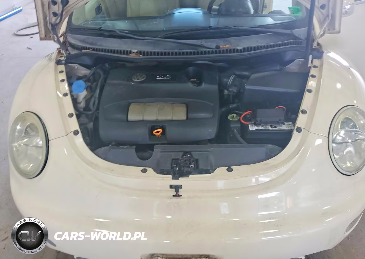 2004 Volkswagen New Beetle Gls VIN:3VWCM31Y34M322204 - 11