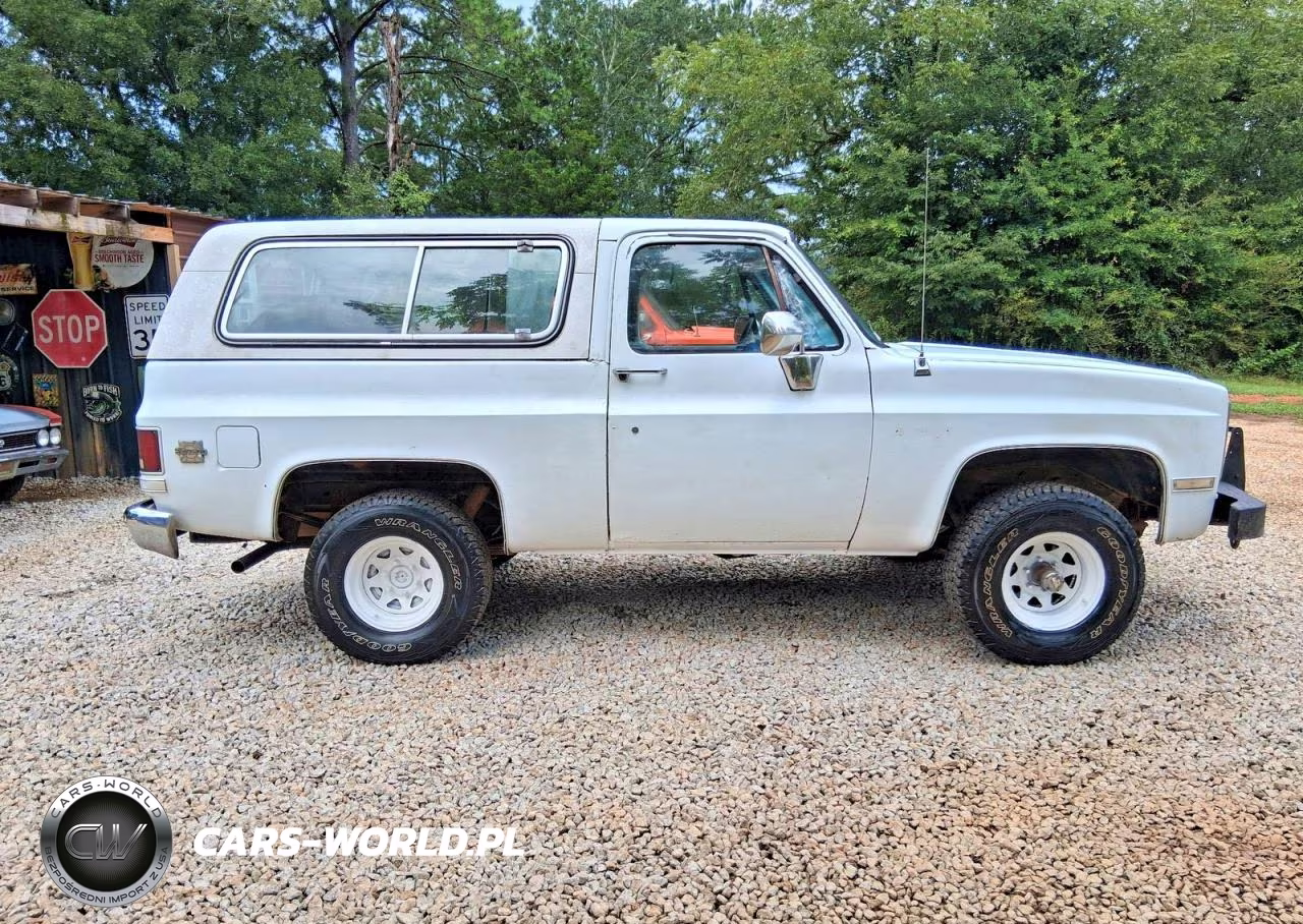 1983 Chevrolet Blazer K10 VIN:1G8EK18L4DF11358 - 11