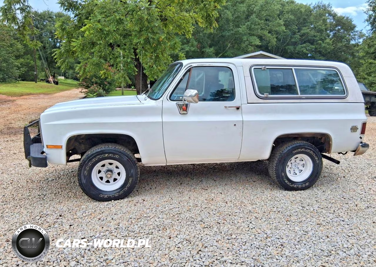 1983 Chevrolet Blazer K10 VIN:1G8EK18L4DF11358 - 12