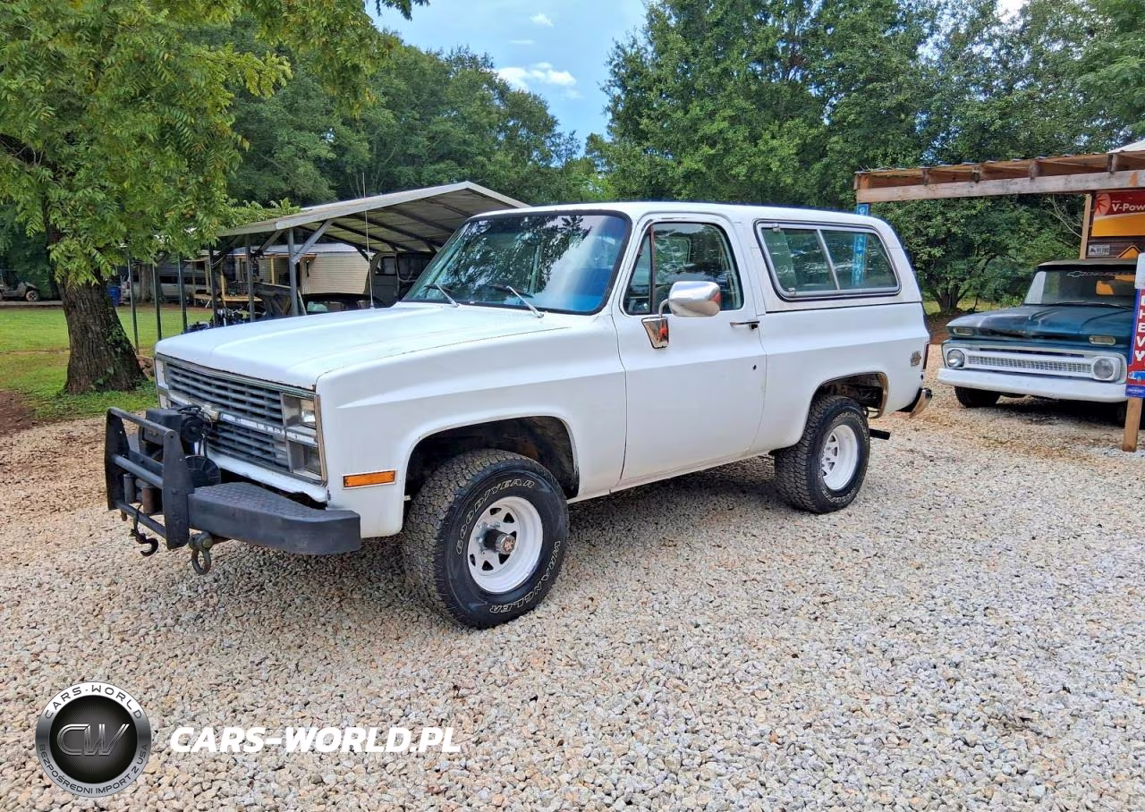 1983 Chevrolet Blazer K10 VIN:1G8EK18L4DF11358 - 2