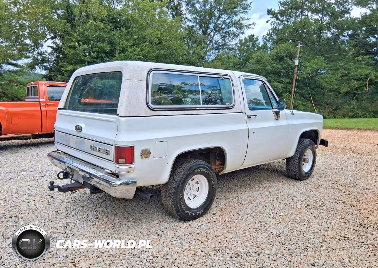 1983 Chevrolet Blazer K10 VIN:1G8EK18L4DF11358 - 4