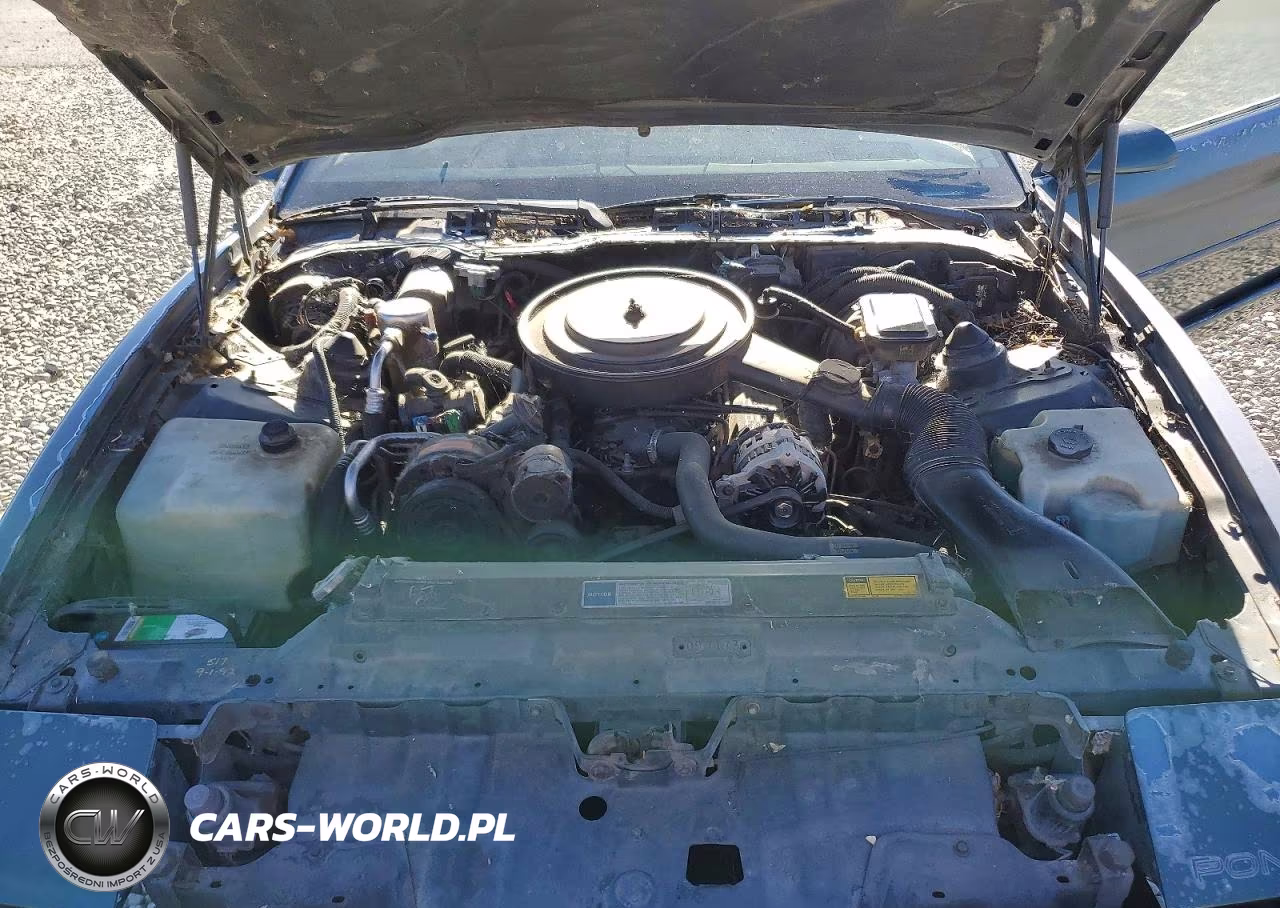 1992 Pontiac Firebird Base VIN:1G2FS23E2NL227403 - 11